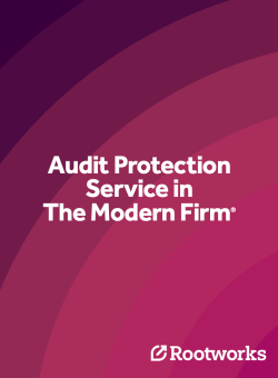 audit protection media banner