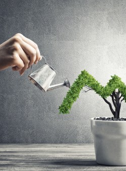 Discover ways to grow your accounting firm